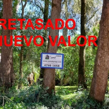 Terreno Venta en Rio / Arroyo Carapachay KM 16