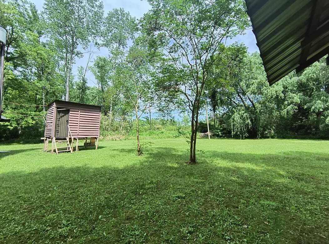 image 33