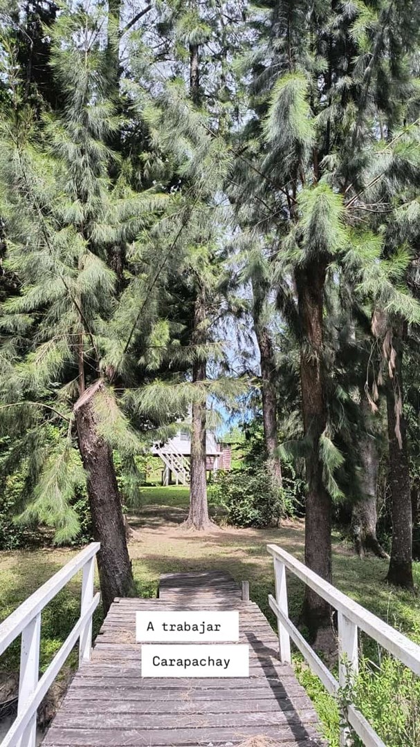 image 38