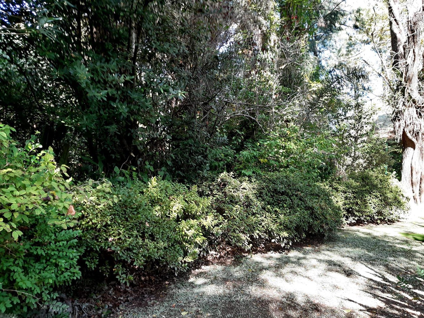 image 42
