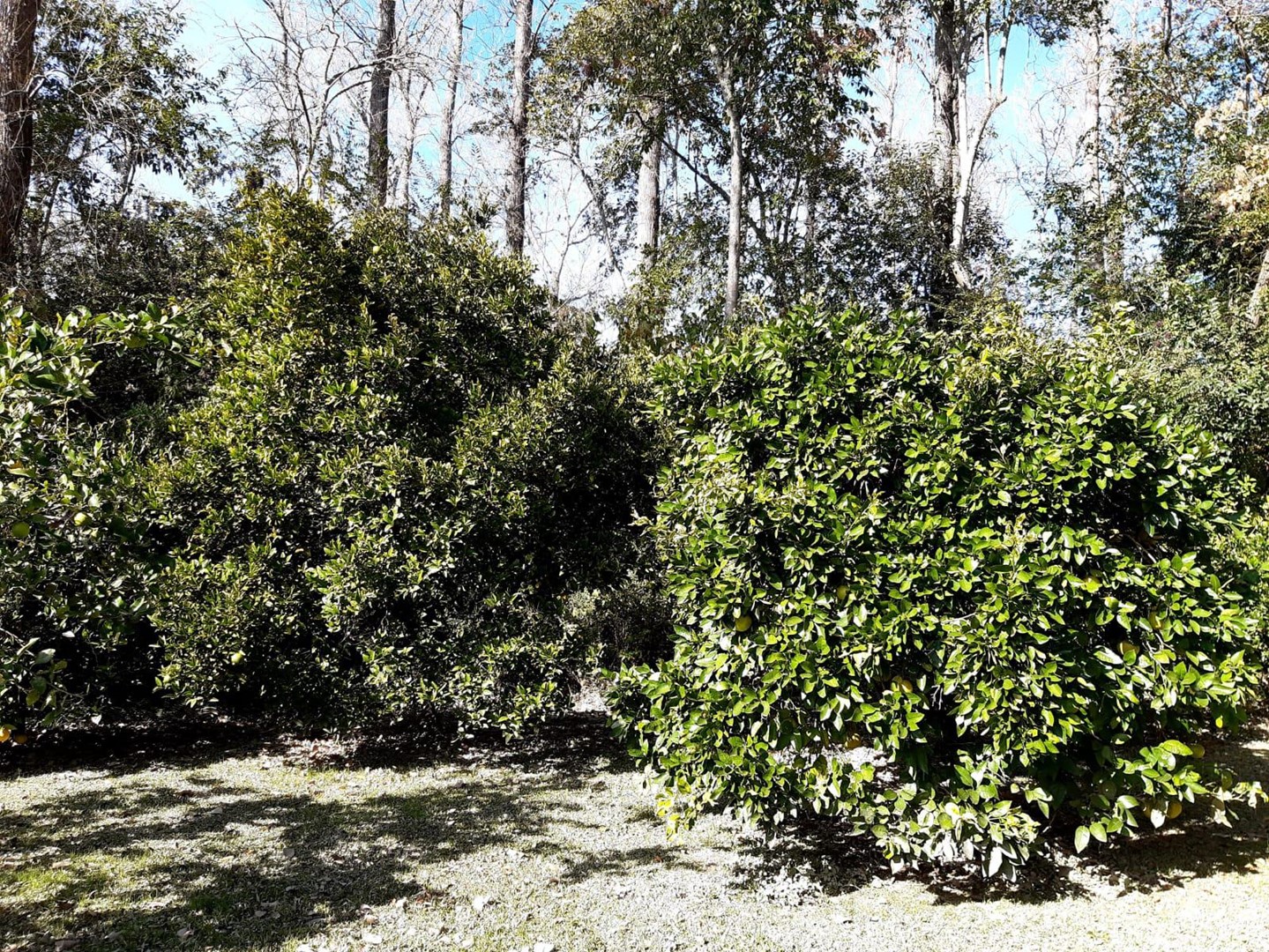 image 61