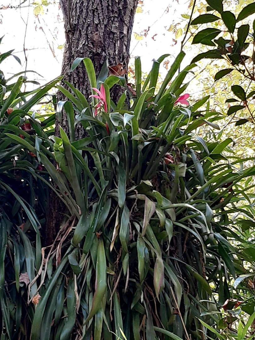 image 65
