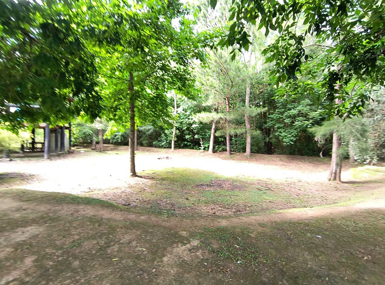 image 14