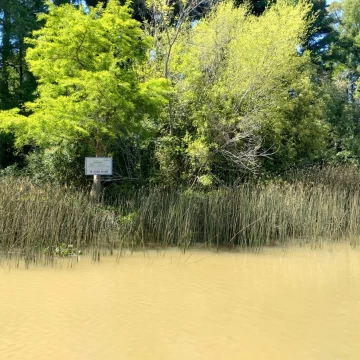 Terreno Venta en Rio o Arroyo Carapachay Lote Km 19 0