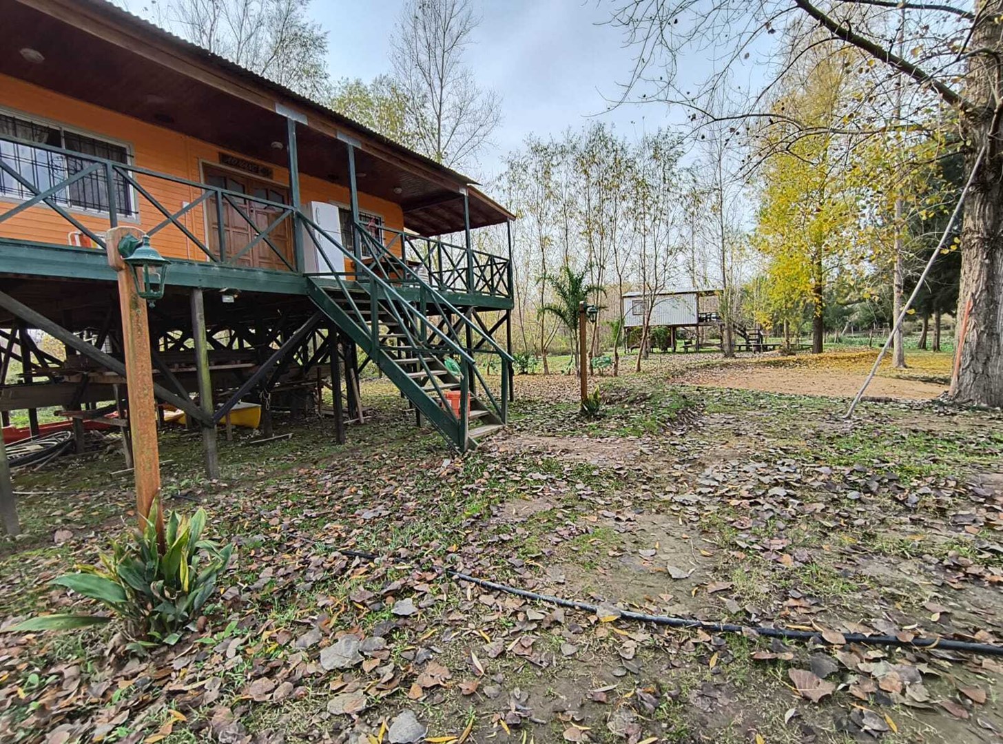 image 22