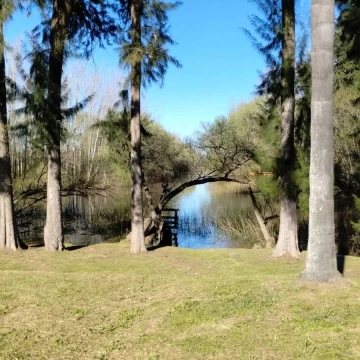 Terreno Venta en Rio o Arroyo Cruz Colorada 5 Lotes