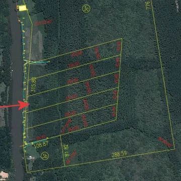 Terreno Venta en Rio / Arroyo Cruz Colorada Lote Forestal V