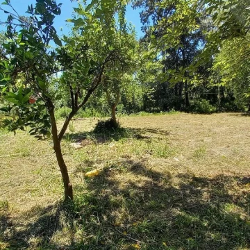Terreno Venta en Rio / Arroyo Espera Parcela 400
