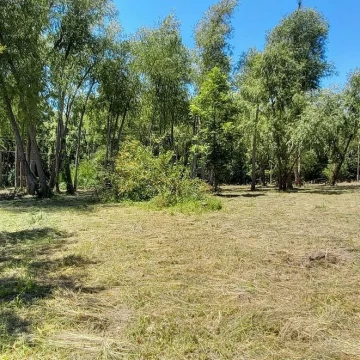 Terreno Venta en Rio / Arroyo Espera Parcela