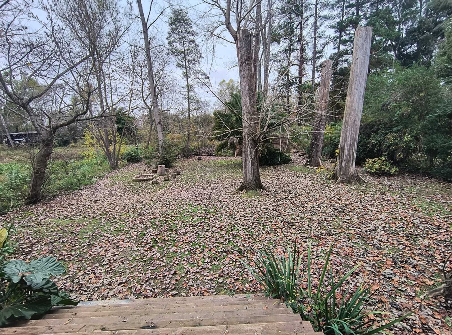 image 14