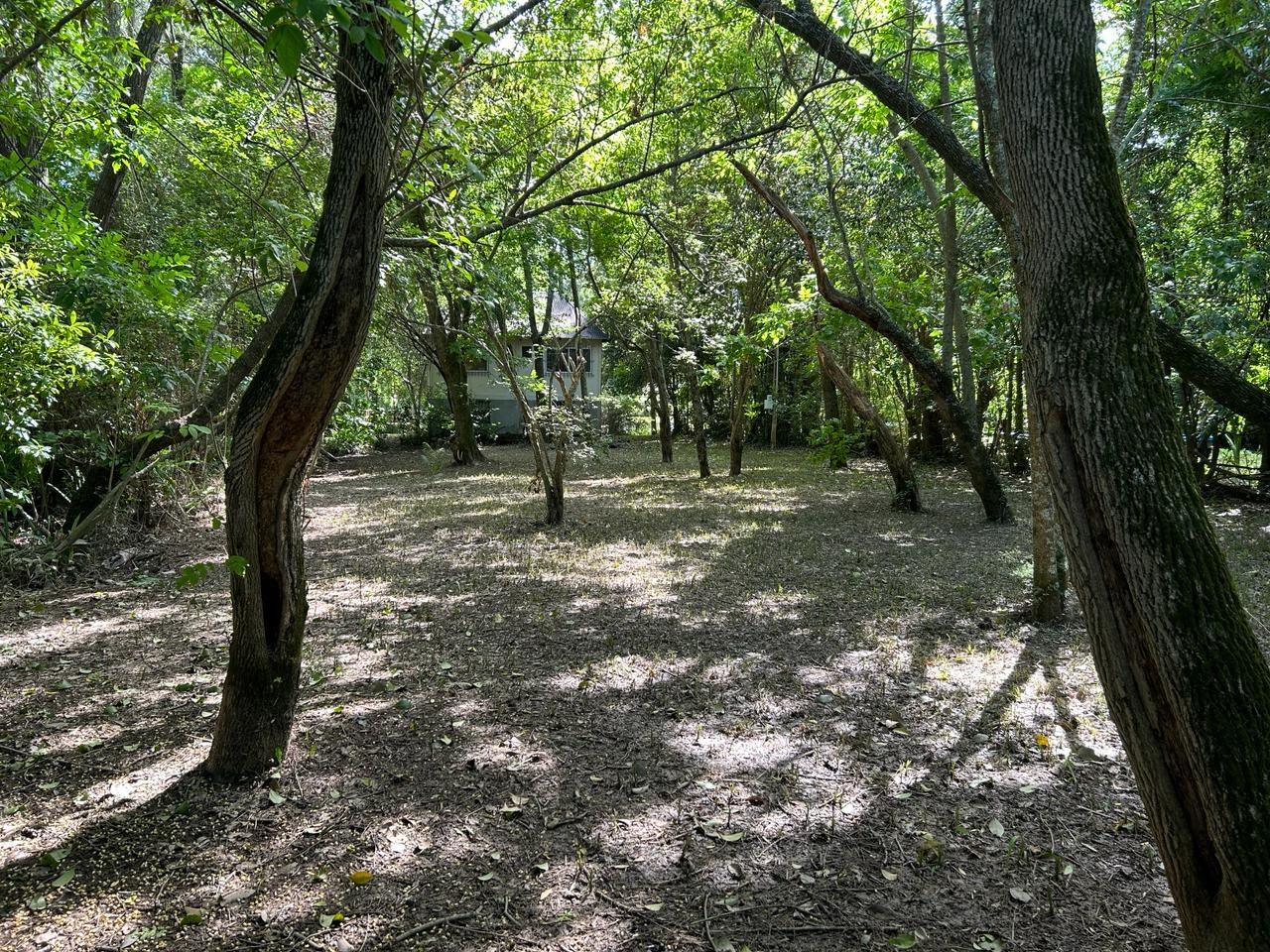 image 27