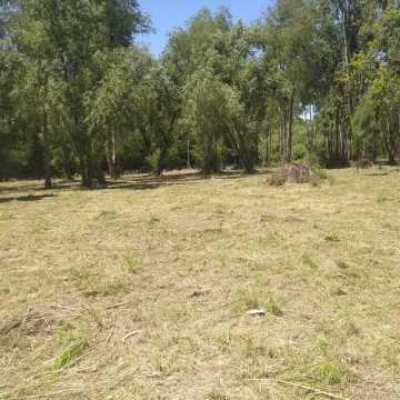 Terreno Venta en Rio / Arroyo Espera Parcela