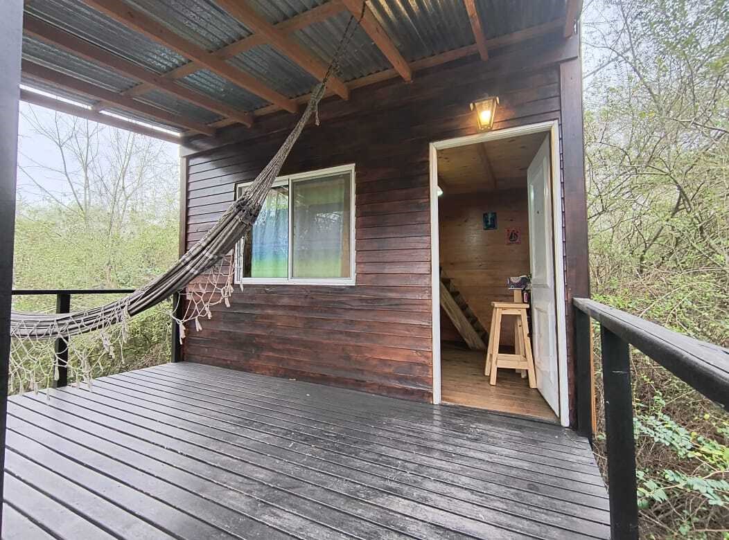 image 34
