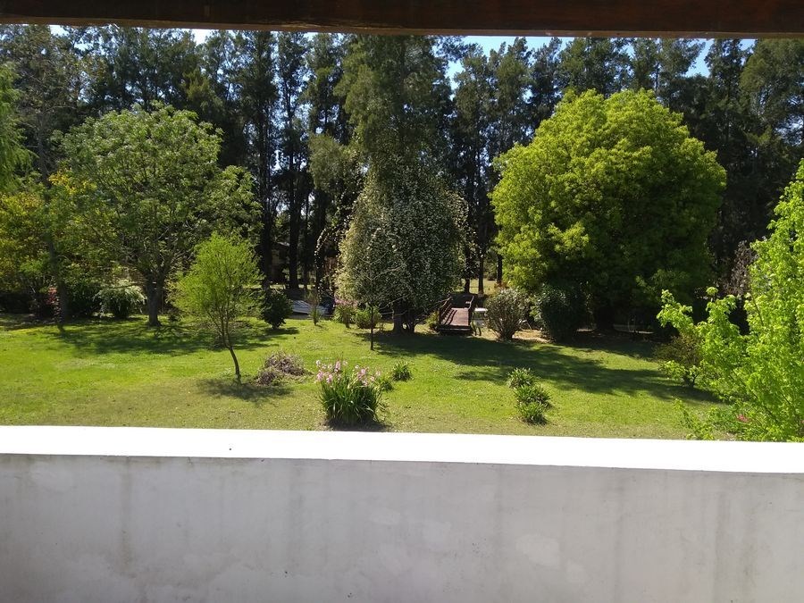 image 26