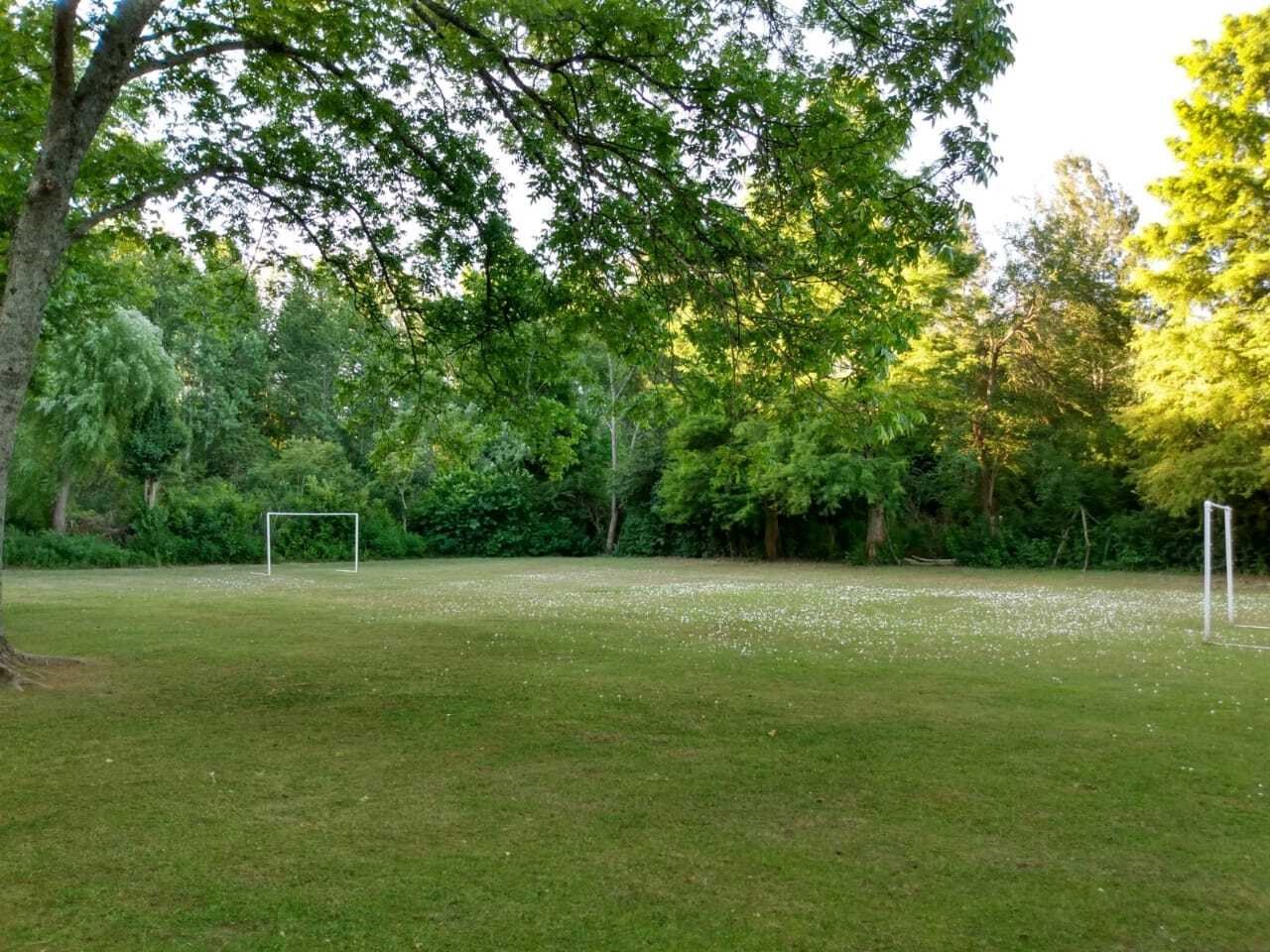 image 14