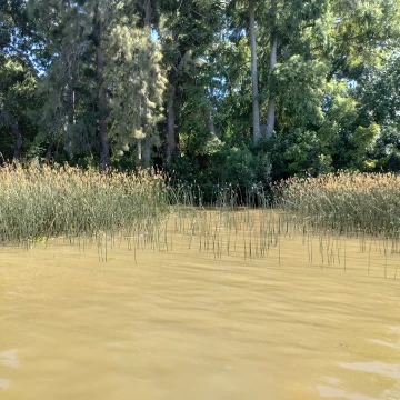 Terreno Venta en Rio o Arroyo San Antonio Pa 67