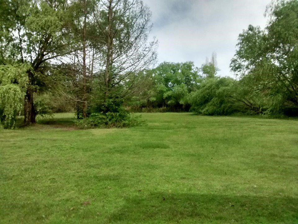 image 14