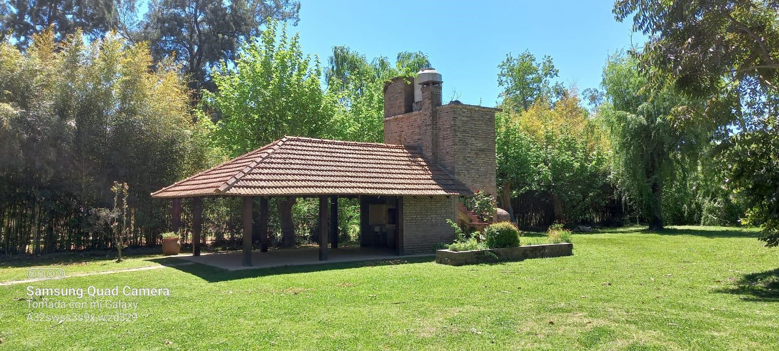 image 50
