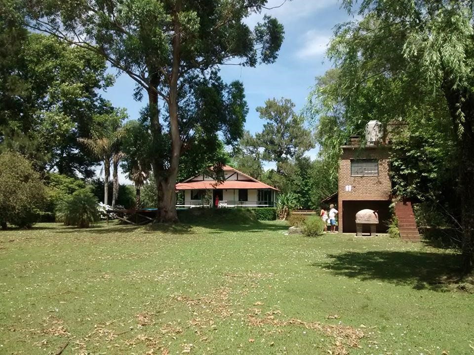 image 53