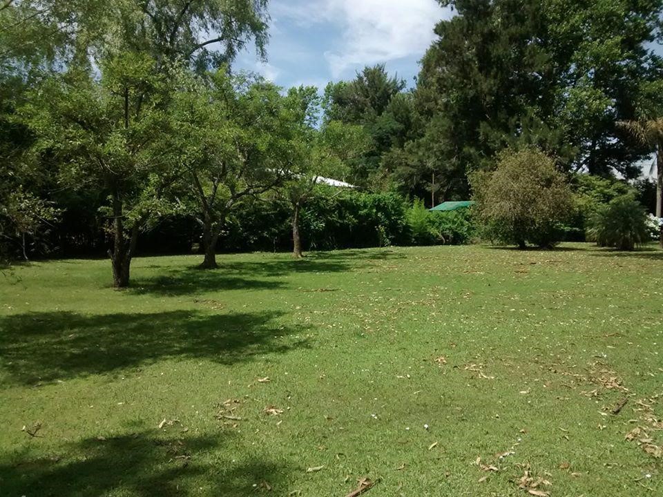 image 65