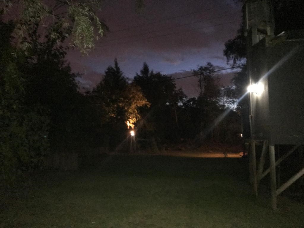 image 23