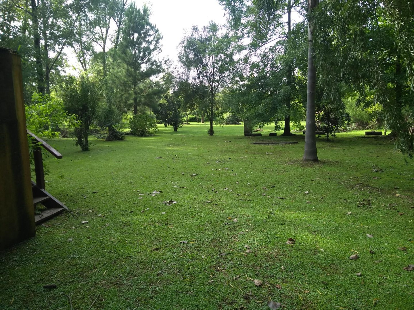 image 33