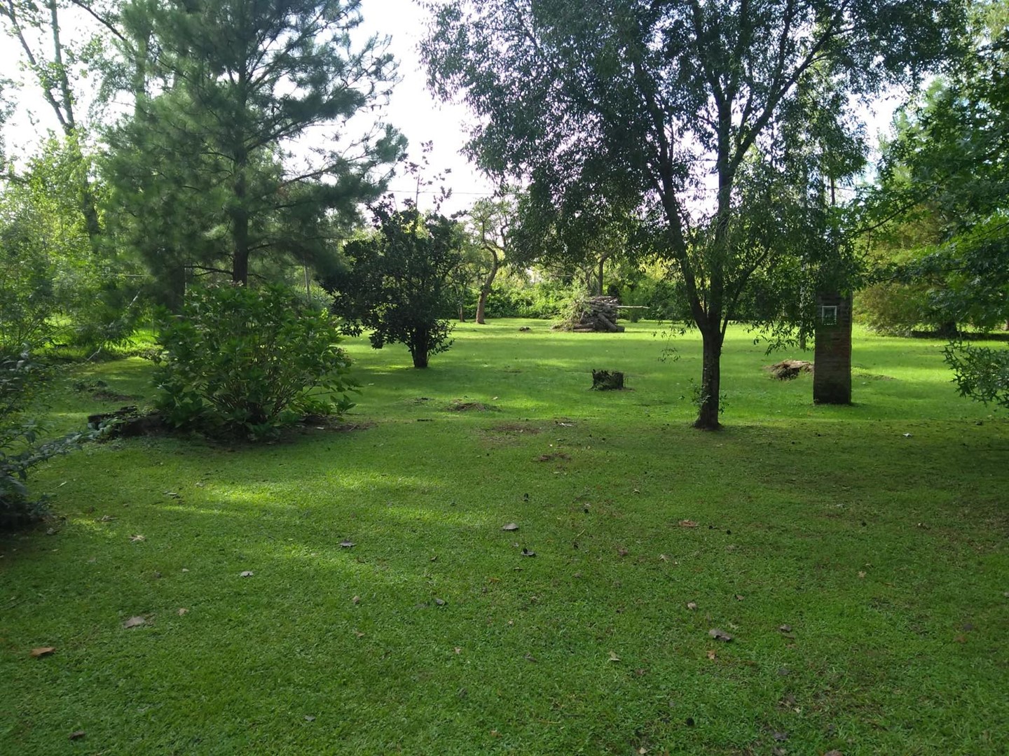 image 34