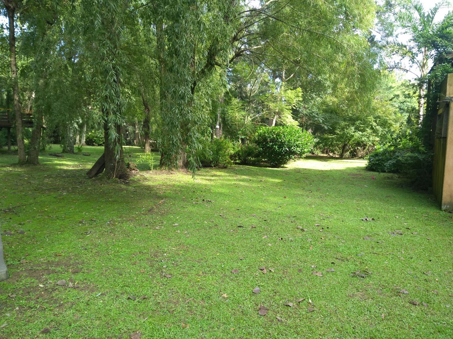 image 35