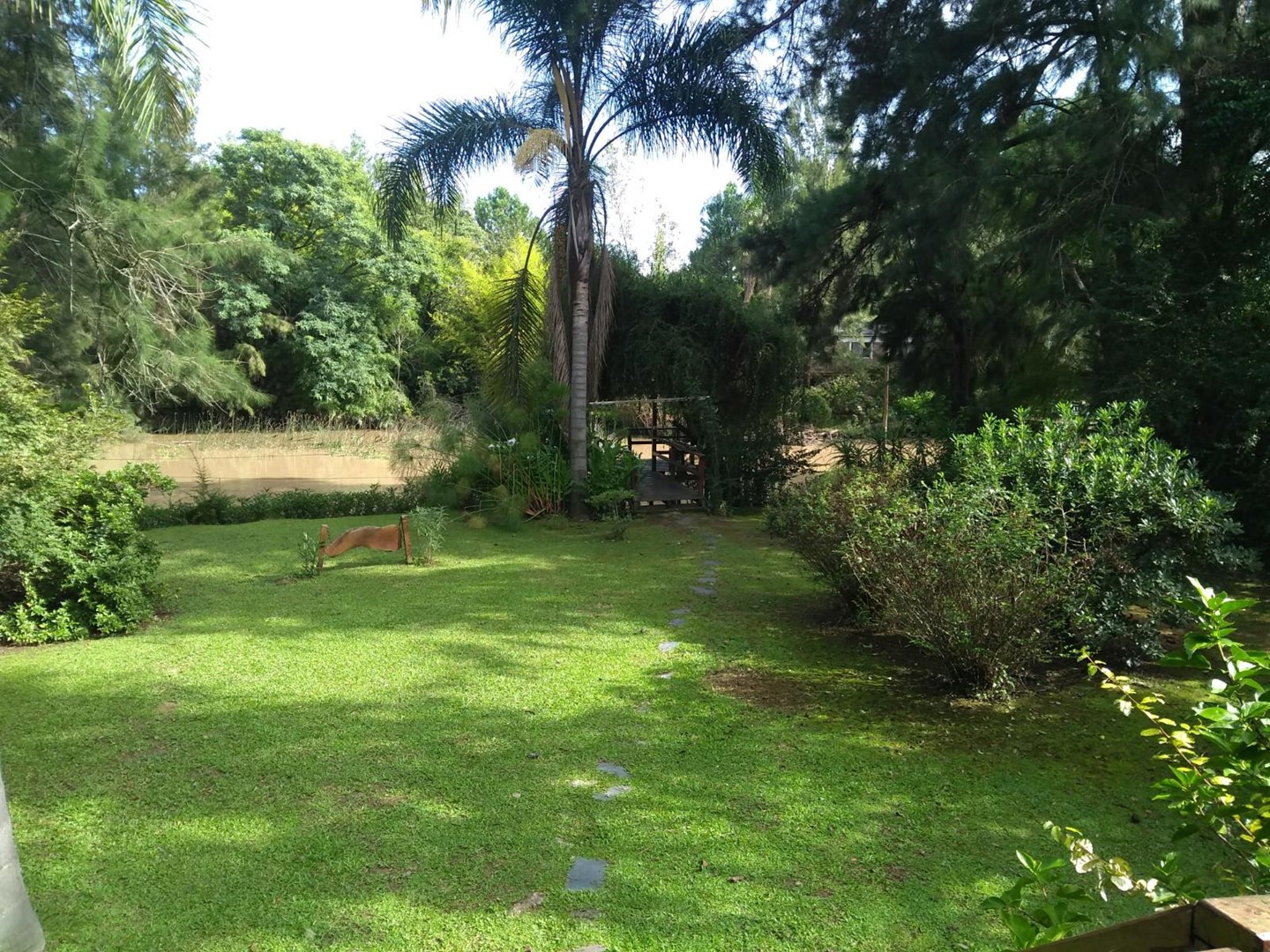 image 38