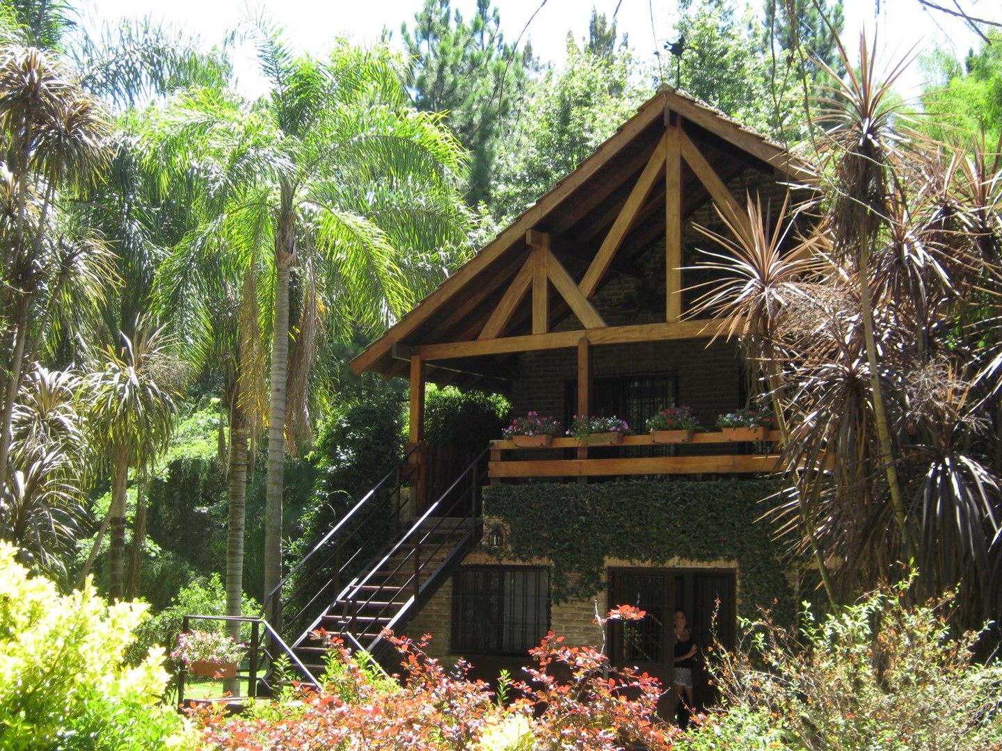 image 14