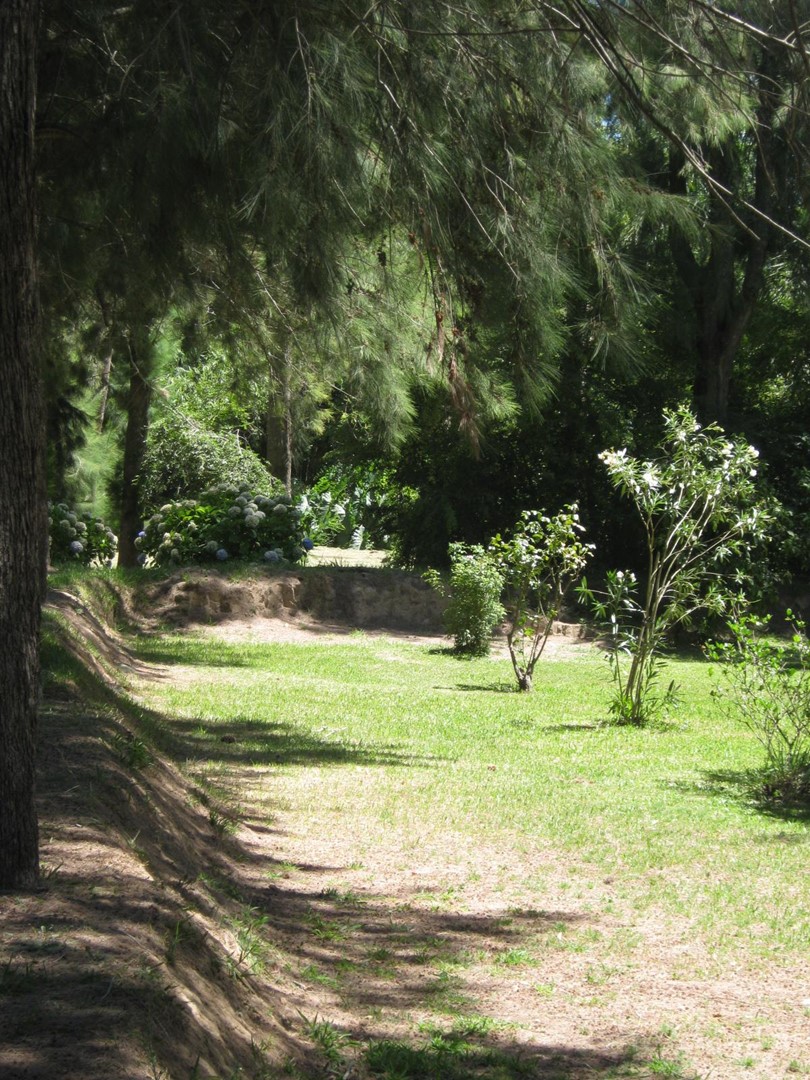 image 18