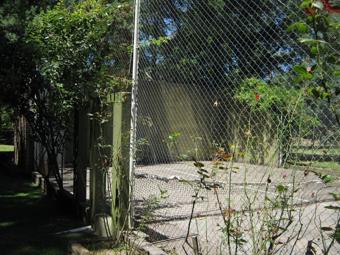 image 31