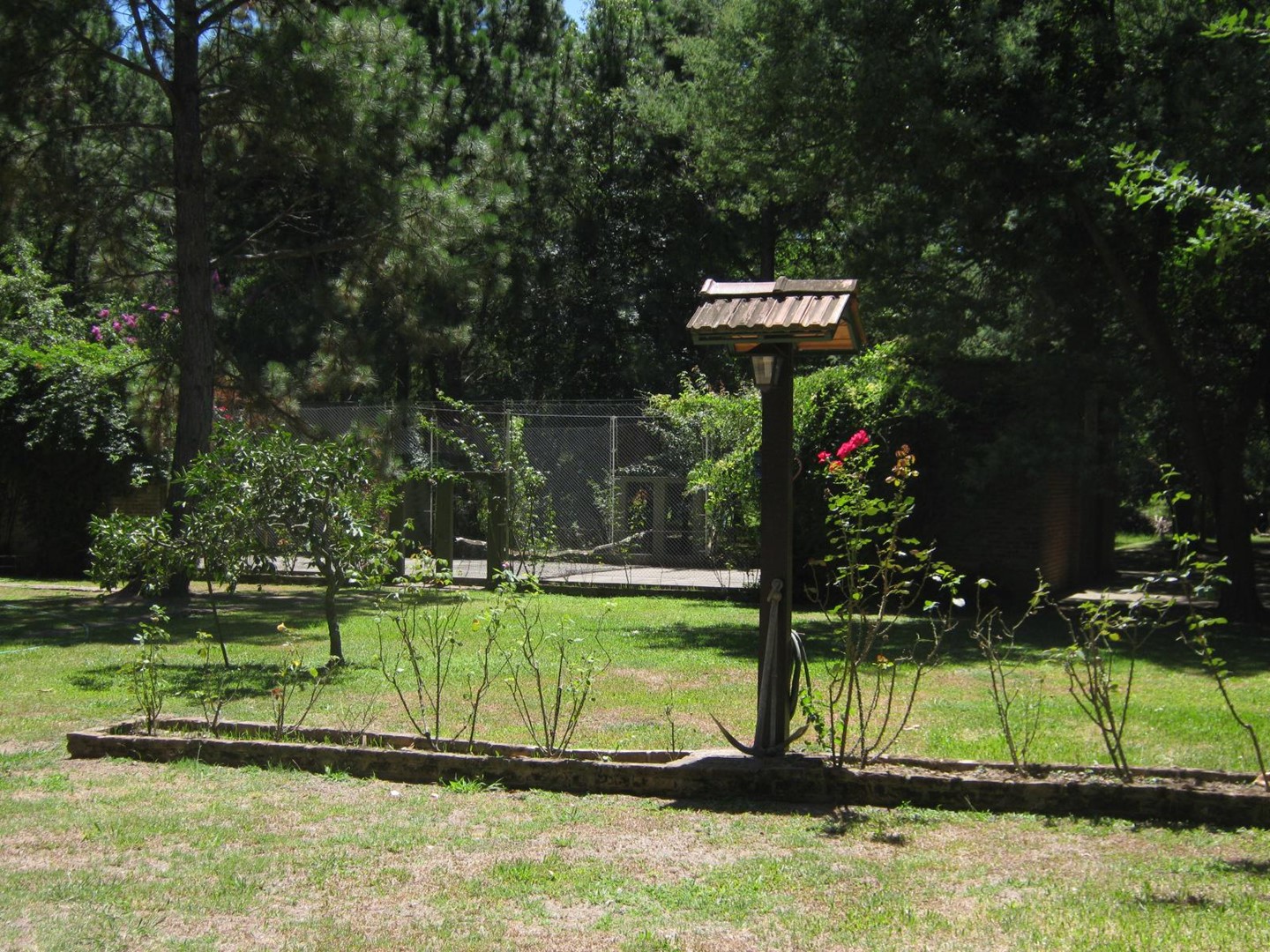 image 32