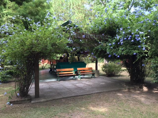 image 34