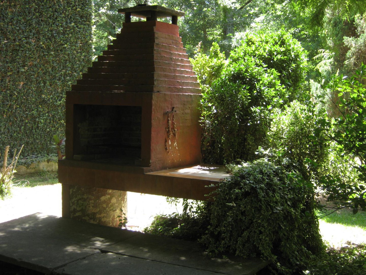 image 36
