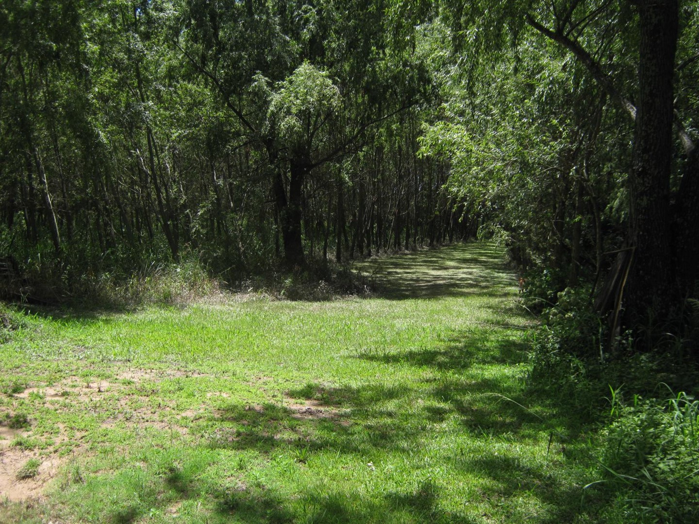 image 37
