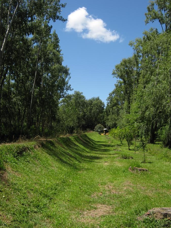 image 45