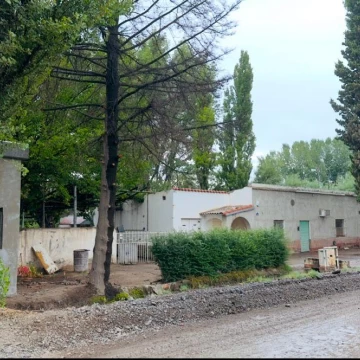 Chacra en Cipolletti