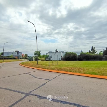 1771013567.jpg