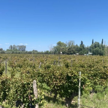 Finca en Monte Caseros