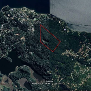 Lote de 22,7 has con Bosque, Vista a los Lagos y al Cerro Tronador - Villa Llao Llao, Bariloche