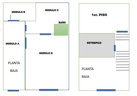 Plano Plantas