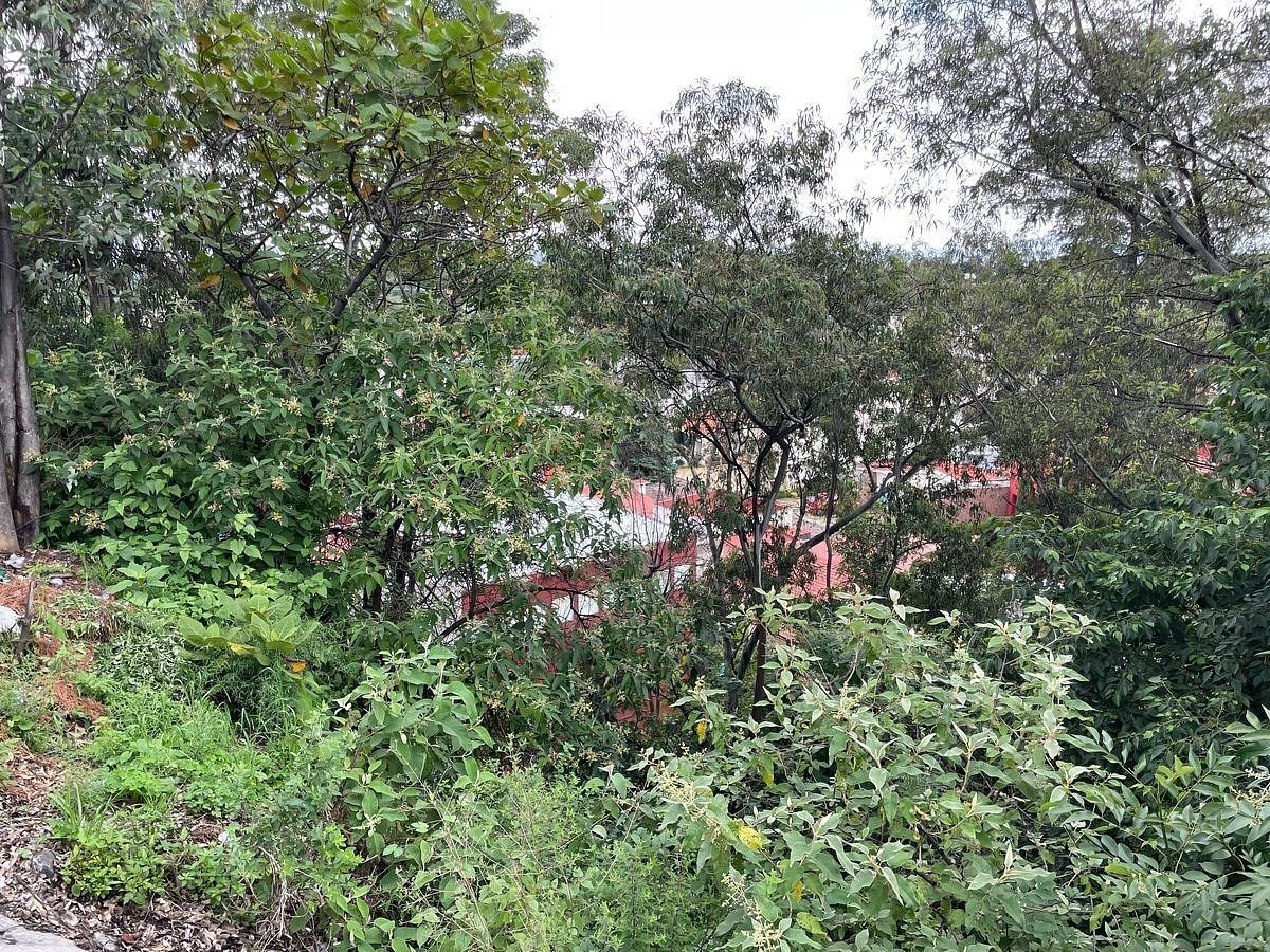 image 14