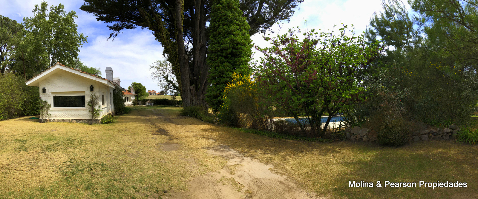 image 27