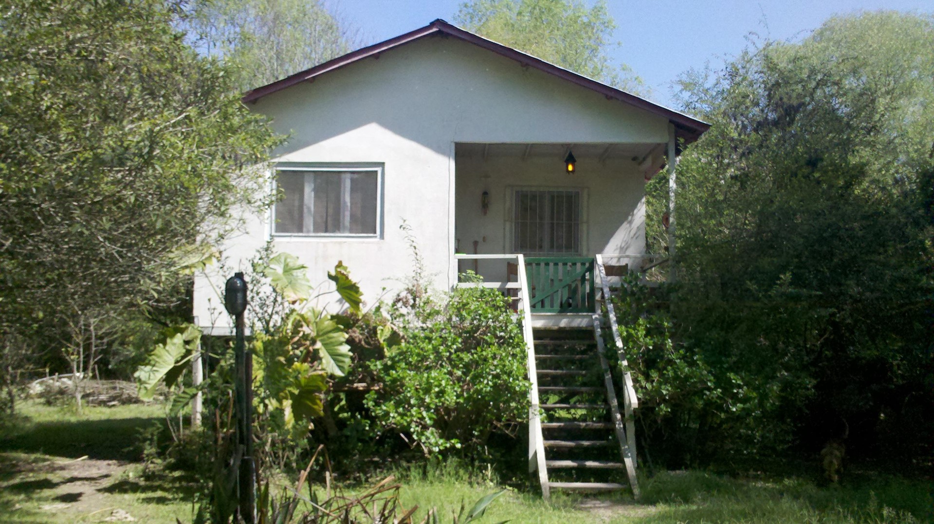image 7