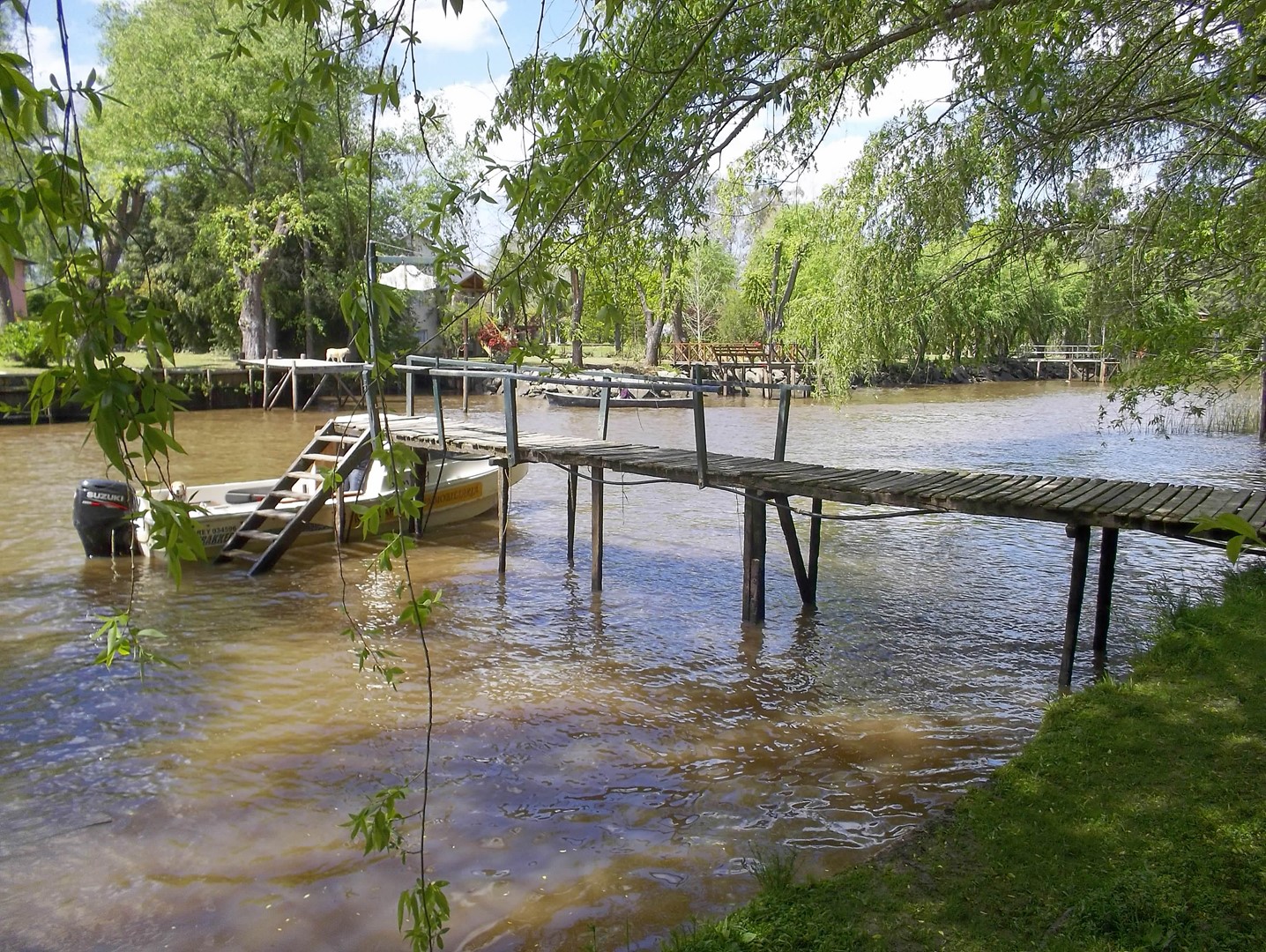 image 21