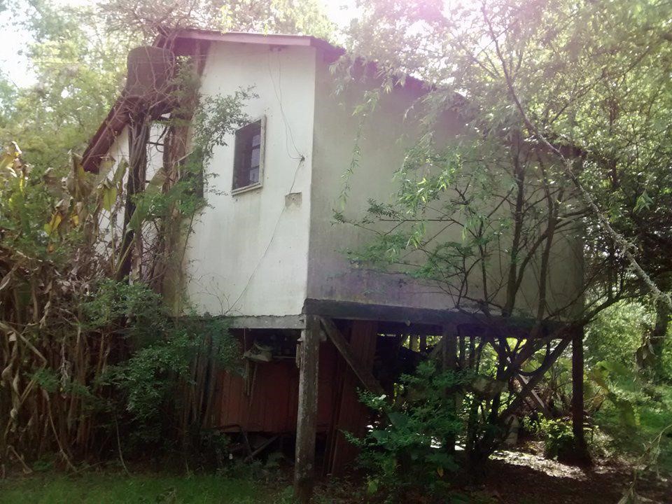 image 23