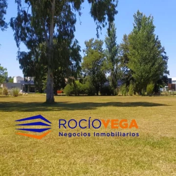 1771593863.jpg