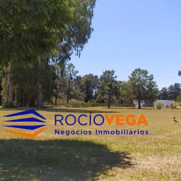1771593864.jpg