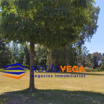 1771593871.jpg